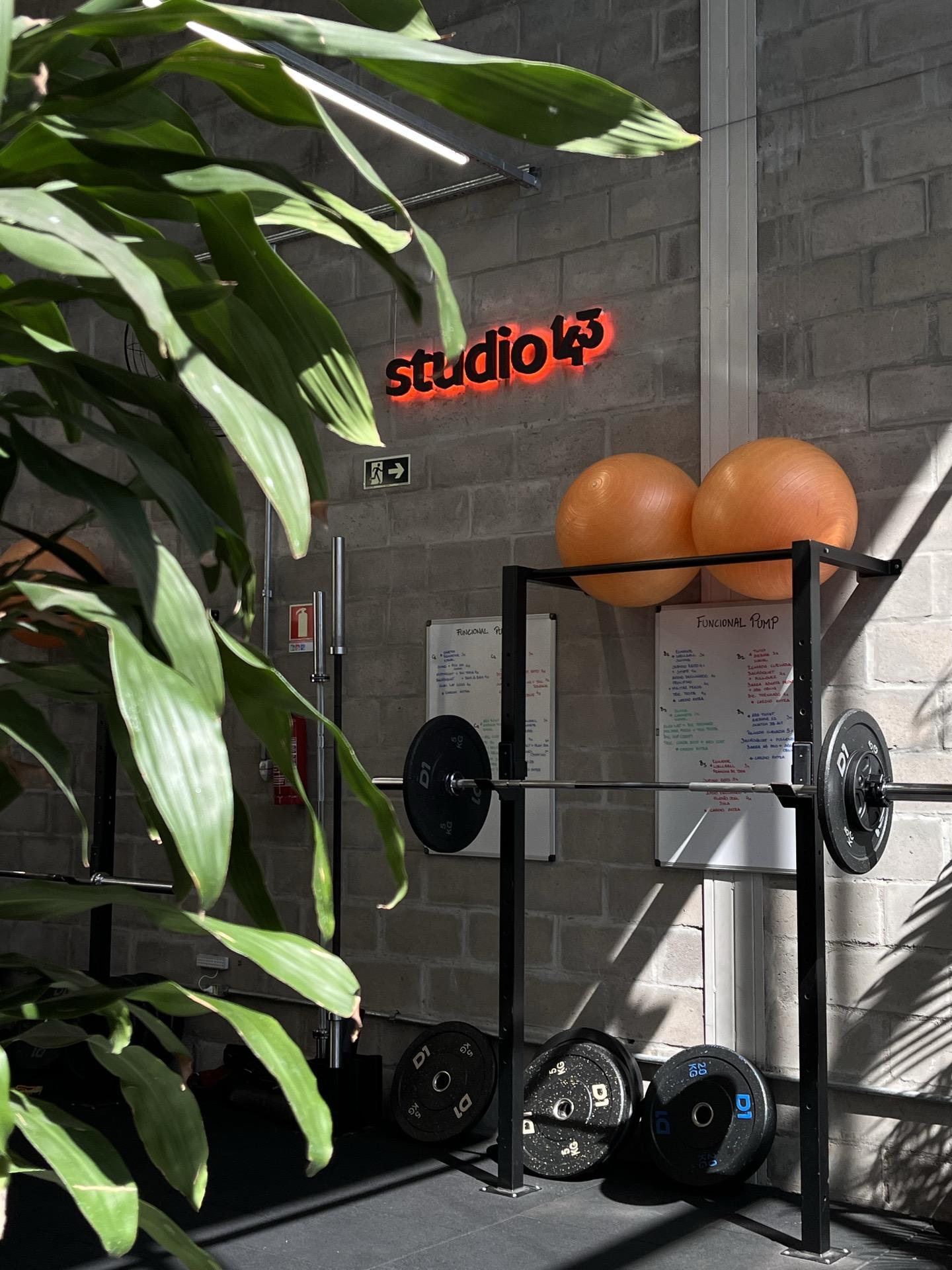 Detalhe do Studio 143 com bolas suíças e identidade visual da marca